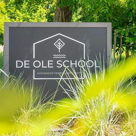 De Ole School Ferienapartments Loft-apartment 30 , Huus Blomen Apartment *