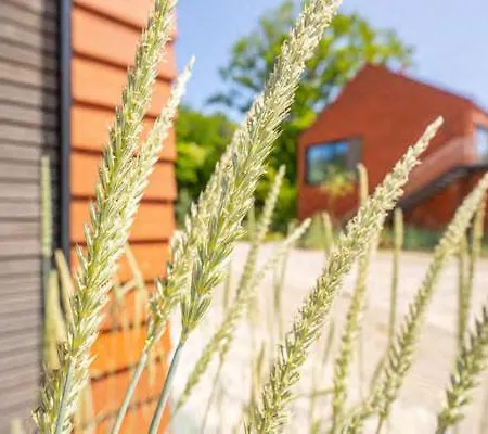De Ole School Ferienapartments Loft-apartment 30 , Huus Blomen * Hohwacht